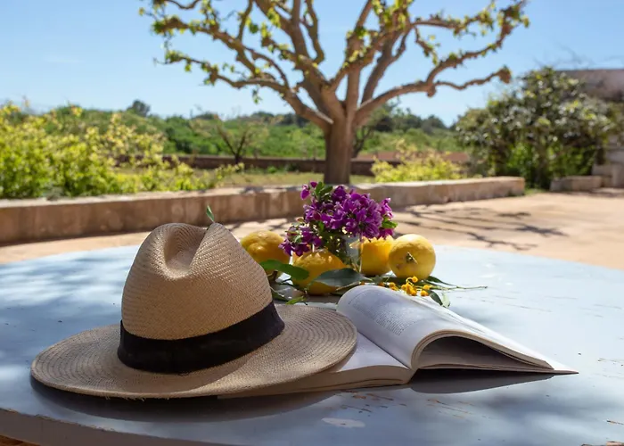 Sa Nau Agroturismo - Adults Only Over 16